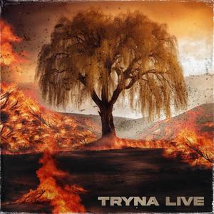 TRYNA LIVE (feat. Agi-State, Vince Duysters, Kam Beats & TReBeats) (Explicit)
