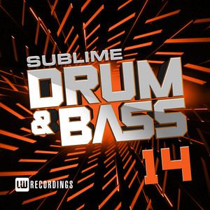 Sublime Drum & Bass, Vol. 14