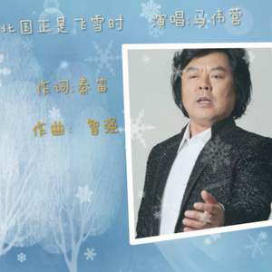 北国正是飞雪时