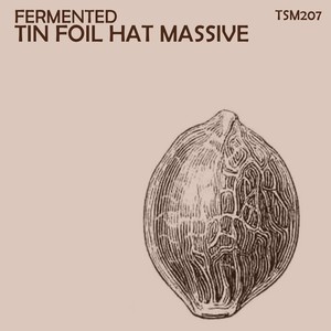 Fermented