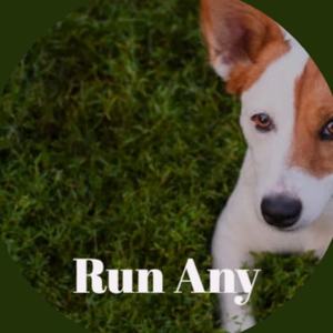 Run Any