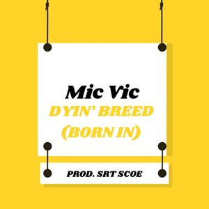 Dyin' Breed / Born In Freestyle (Explicit)