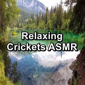 Relaxing Crickets ASMR