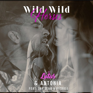 Wild Wild Horses (Bodybangers VIP Remix)