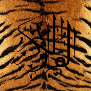 losing connection (Explicit)