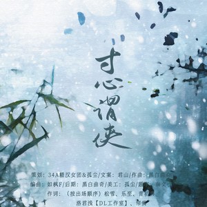 寸心谓侠封面
