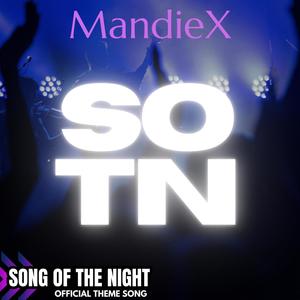 SOTN THEME SONG (Explicit)