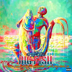 Bigfish (feat. Ndinxiba_kakhle, UncleMurdersongs & Lihle_king) (Explicit)