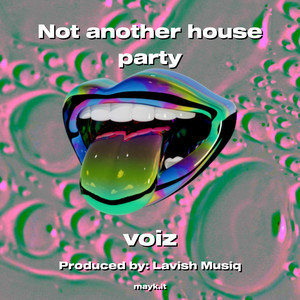 Not another house party (Explicit)