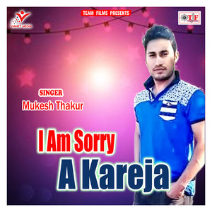 I Am Sorry A Kareja