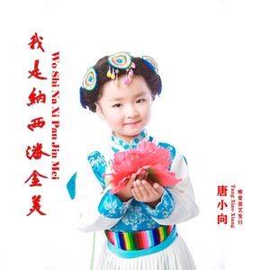 我是纳西潘金美