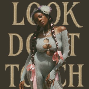 Look Don't Touch (Explicit)