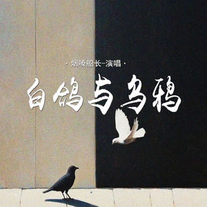白鸽与乌鸦