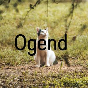 Ogend