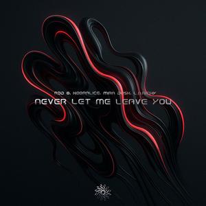 Never Let Me Leave You (feat. L.A.Richy) (Extended Mix)