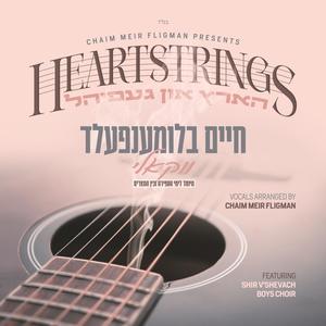 Heartstrings (Vocal)