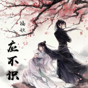 应不识