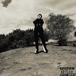 WE DONT TRUST YOU (feat. Dee Tsunami & Andie)