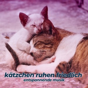 Kätzchen ruhen friedlich (Entspannende Musik)