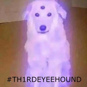 Silver Passage #TH1RDEYEEHOUND (feat. Slug † Christ) (Explicit)