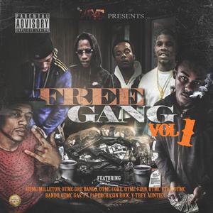 Free Gang Vol 1 (Explicit)