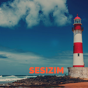 Sessizim