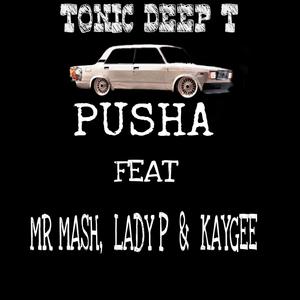 Phusha (feat. MR MASH, LADY P & KAYGEE T)