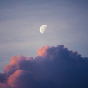 断了的弦(竖琴)-小酷说书