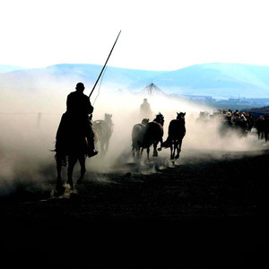 幻云初 - 爱殇(花千骨)