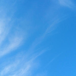 Working On Myself (feat. Tha Truth)