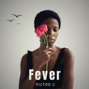 Fever (Explicit)