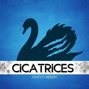 Cicatrices