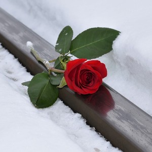 Tell Me Why(feat. Liz Lachmar)