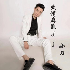 爱情麻匪 (DJ默涵版)