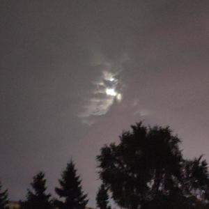 不想和你做朋友 (翻自 小贱)