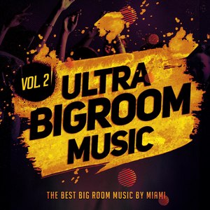 Ultra Bigroom Music, Vol. 2