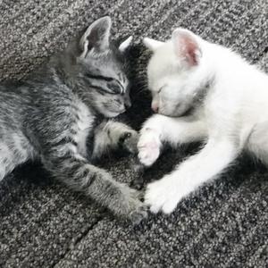 hold ur hand (feat. lephina)