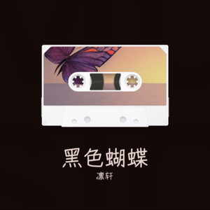 黑色蝴蝶 (Live)