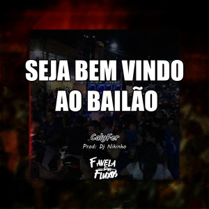 SEJA BEM VINDO AO BAILÃO (Explicit)