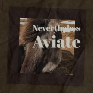 Nevertheless Aviate