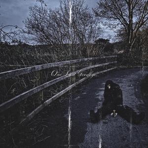 HAVE YOU SEEN ME? (Explicit)