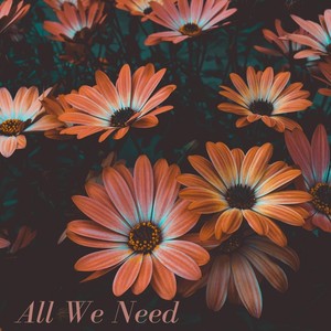 All We Need