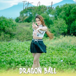 Dragon Ball (Cover)