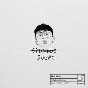 Stupido Sogno (Explicit)