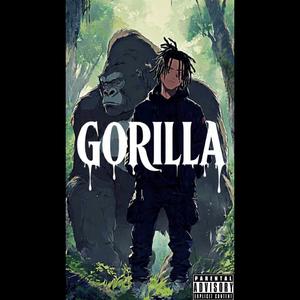 GORiLLA (Explicit)