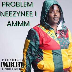 Problem (Explicit)