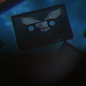 In search of a voice