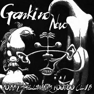 Gankino Novo