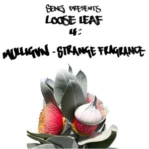 Strange Fragrance (feat. Mulligvn) [Explicit]