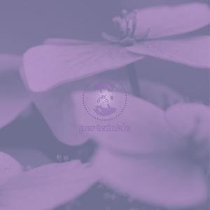 periwinkle (feat. soyybean, Mo Dubs, orangeben & art mackintosch) (Explicit)